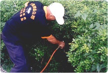 屏東古蹟四周土壤白蟻防治工程