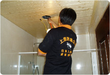 住家裝潢前白蟻防治工程