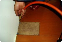 住家別墅實木地板白蟻防治工程