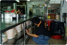 餐廳廚房蟑螂凝膠防治施工過程