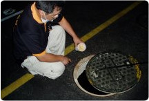 污水及化糞池投藥施工過程