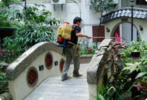 大樓中庭消毒施工過程