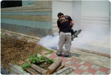 水溝登革熱病媒蚊消毒施工過程