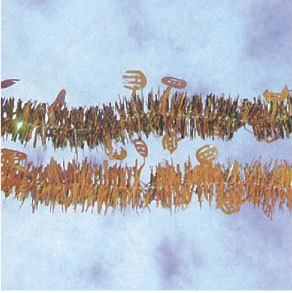 5.5"雙色南瓜造型條