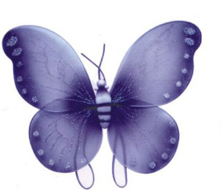 蝴蝶翅膀