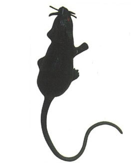 黑色老鼠