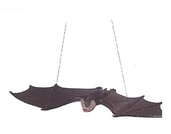 蝙蝠