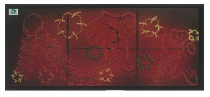 LED鞭炮+賀歲字造型燈