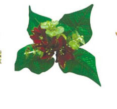 聖誕花叉