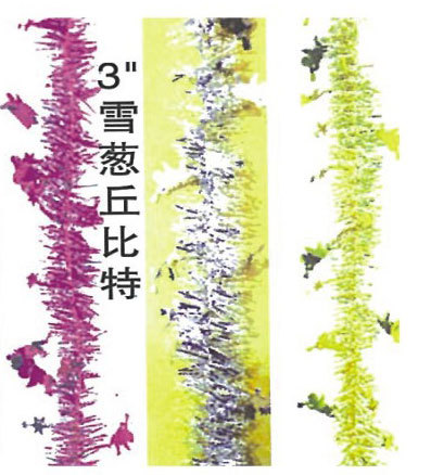 3"雪蔥邱比時