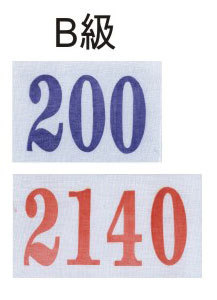 B級號碼布