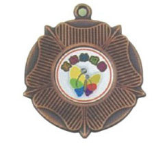 獎牌外形5
