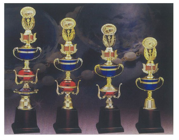 獎盃4