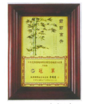 編號：L-SP07木框式獎牌