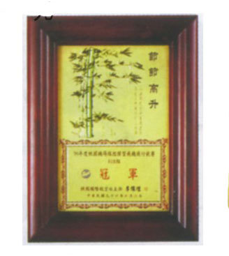 編號：L-SP08木框式獎牌