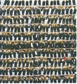 200燈清光燈P-010