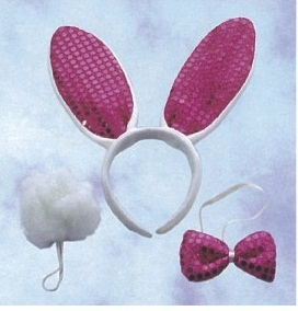 三件式兔耳裝飾組I-0051