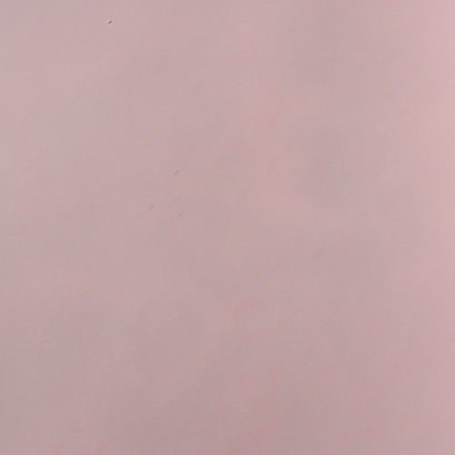 特殊紋路面皮-6