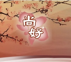 尚好高雄罐頭塔壽桃塔花籃蘭花-undefined