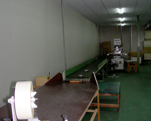 產品包裝封箱輸送帶