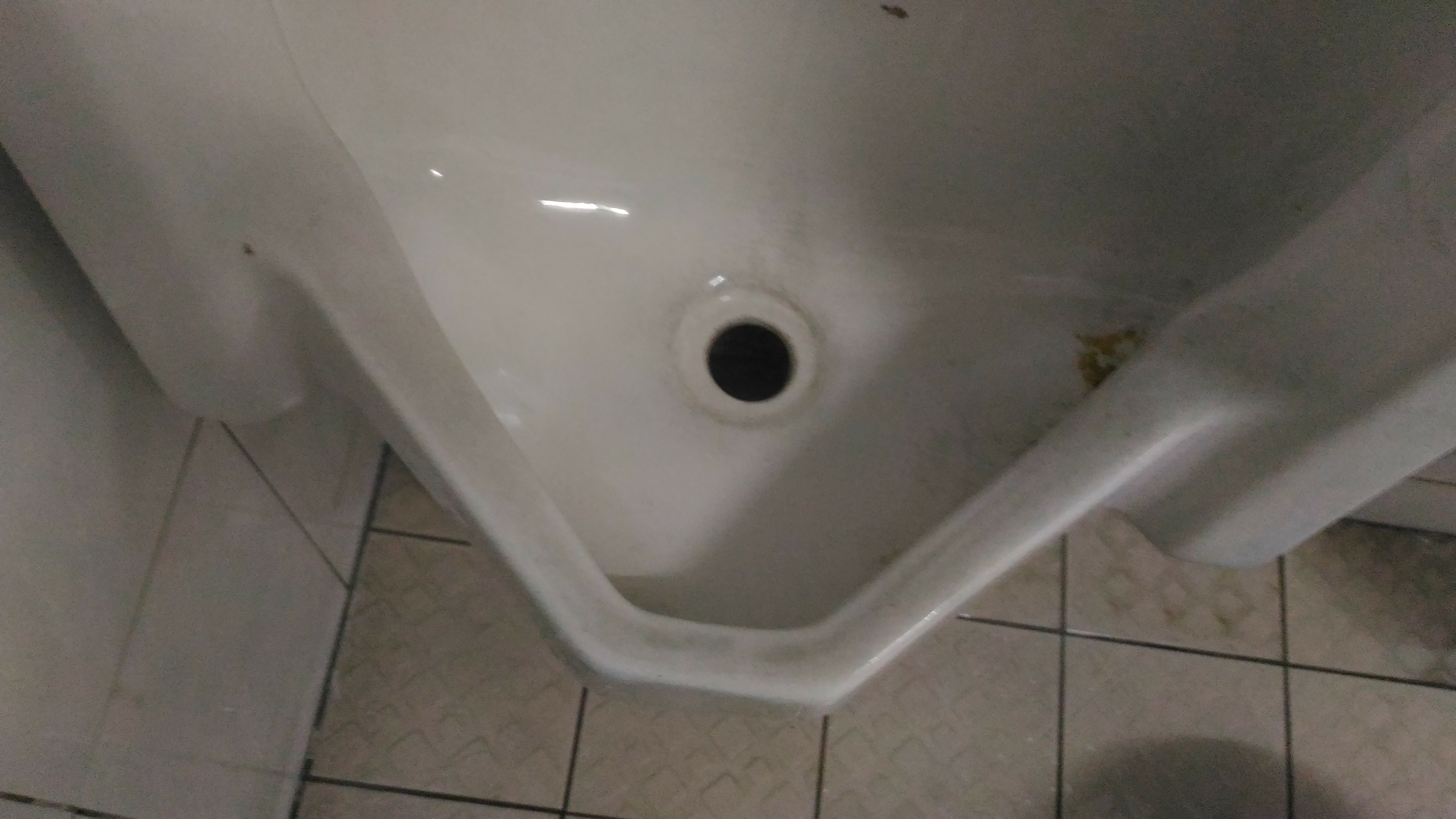 大順包通,彰化抽肥_3