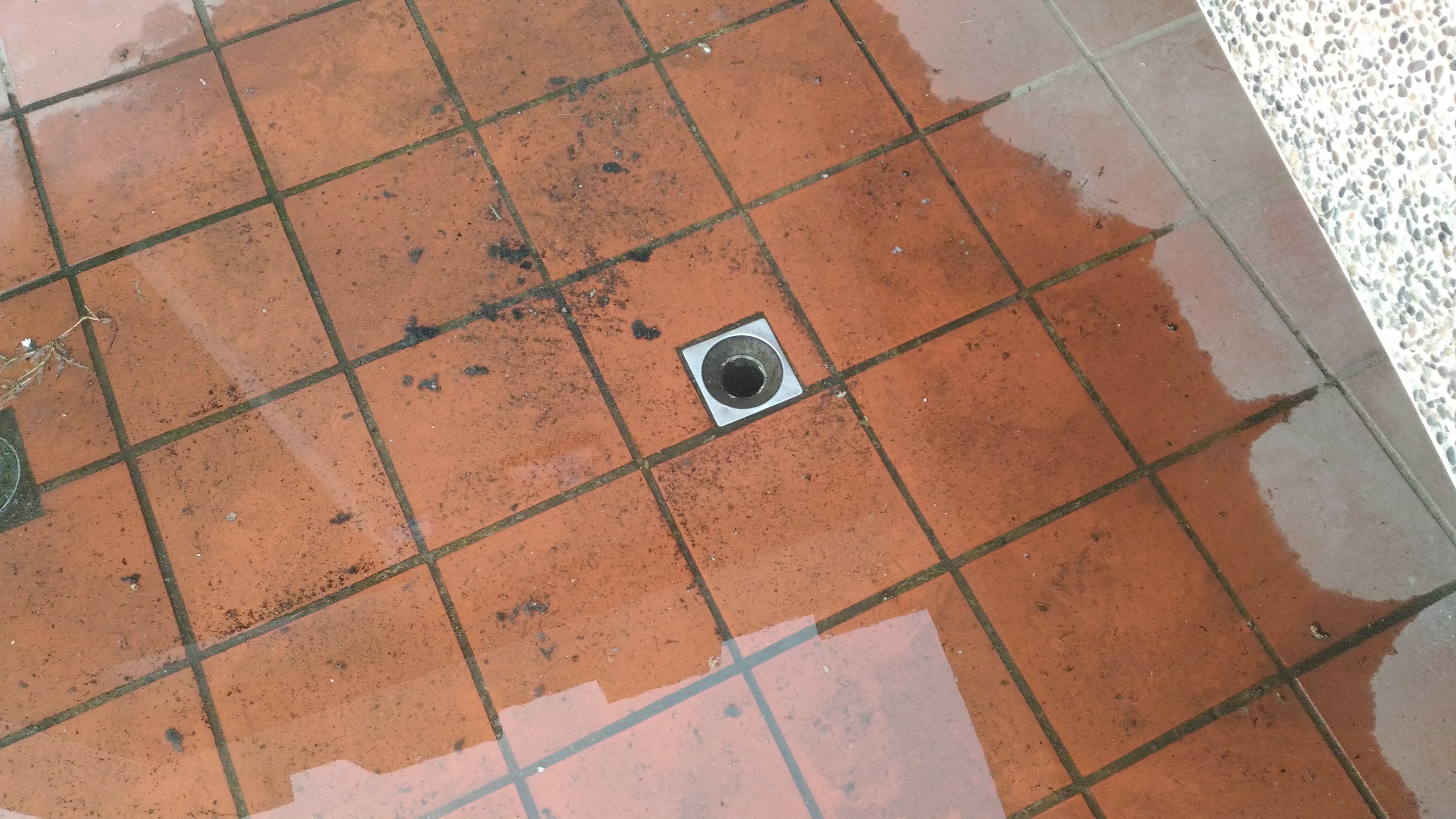 大順包通,彰化抽肥_4