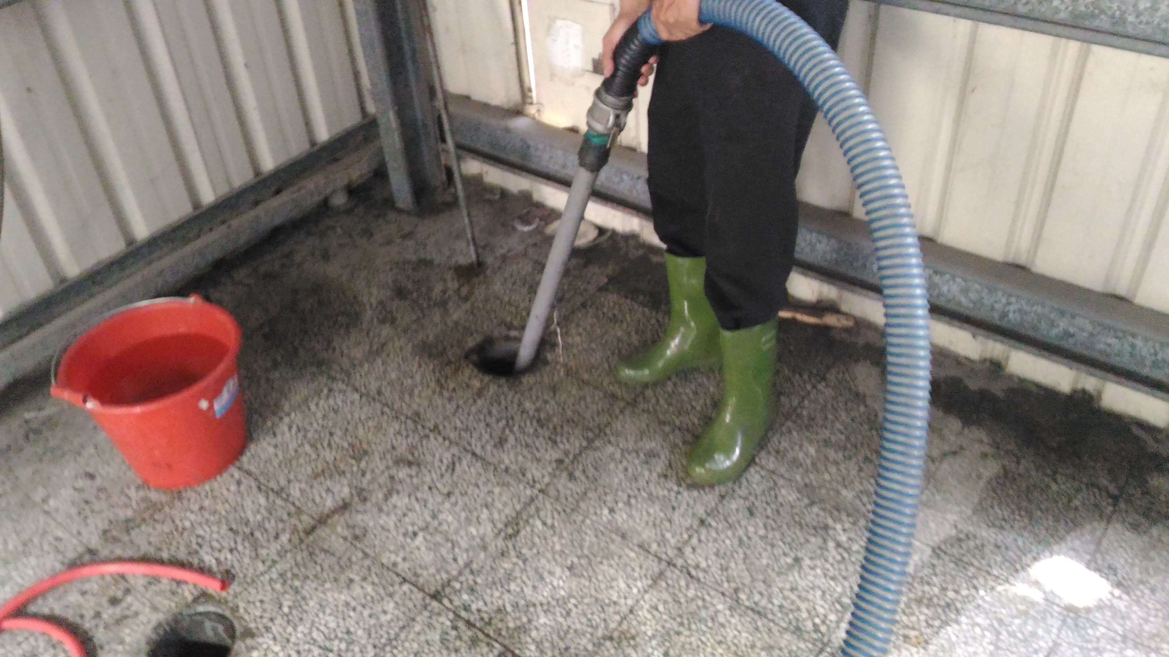 大順包通,彰化抽肥_7