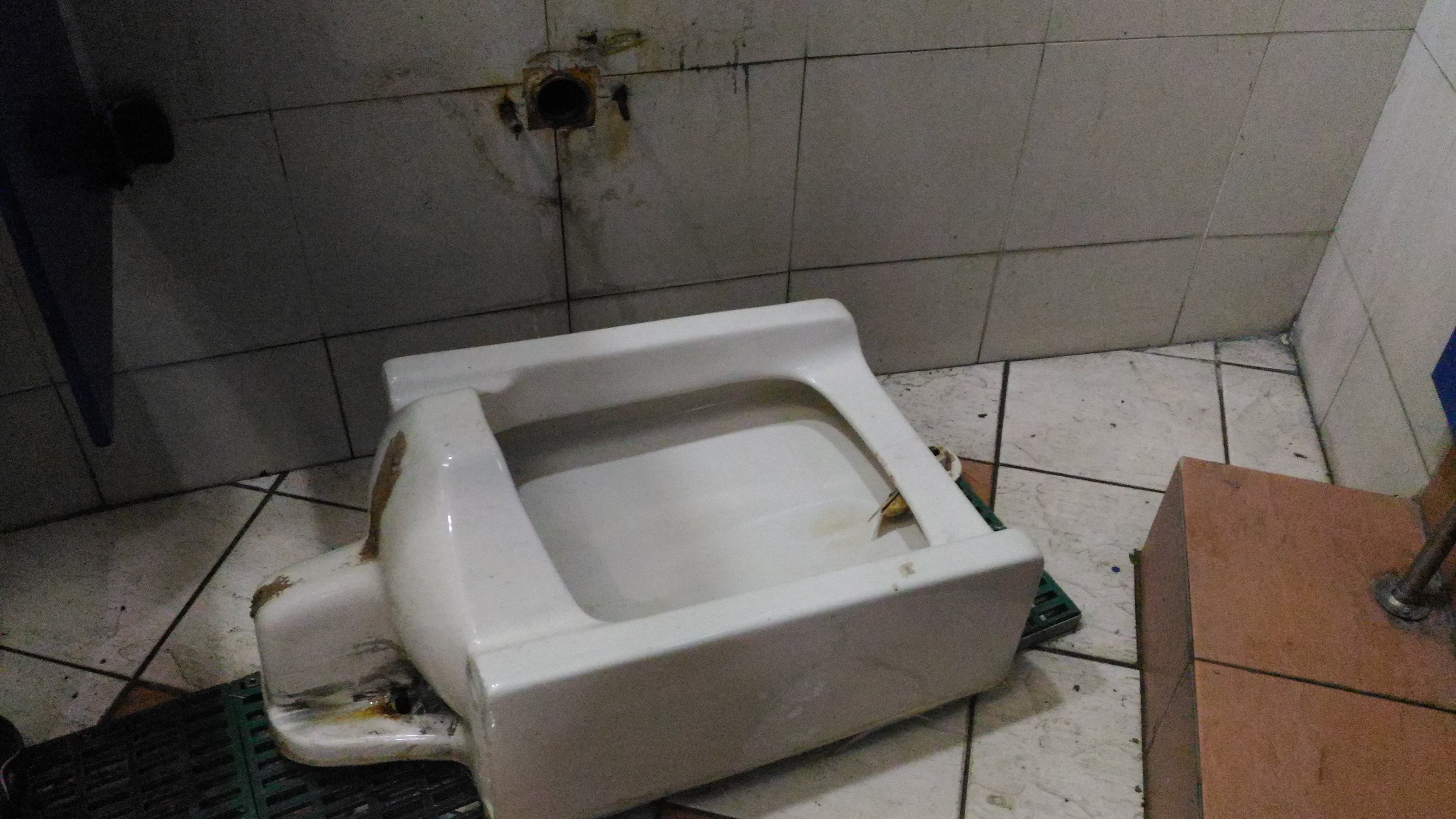 大順包通,彰化抽肥_6