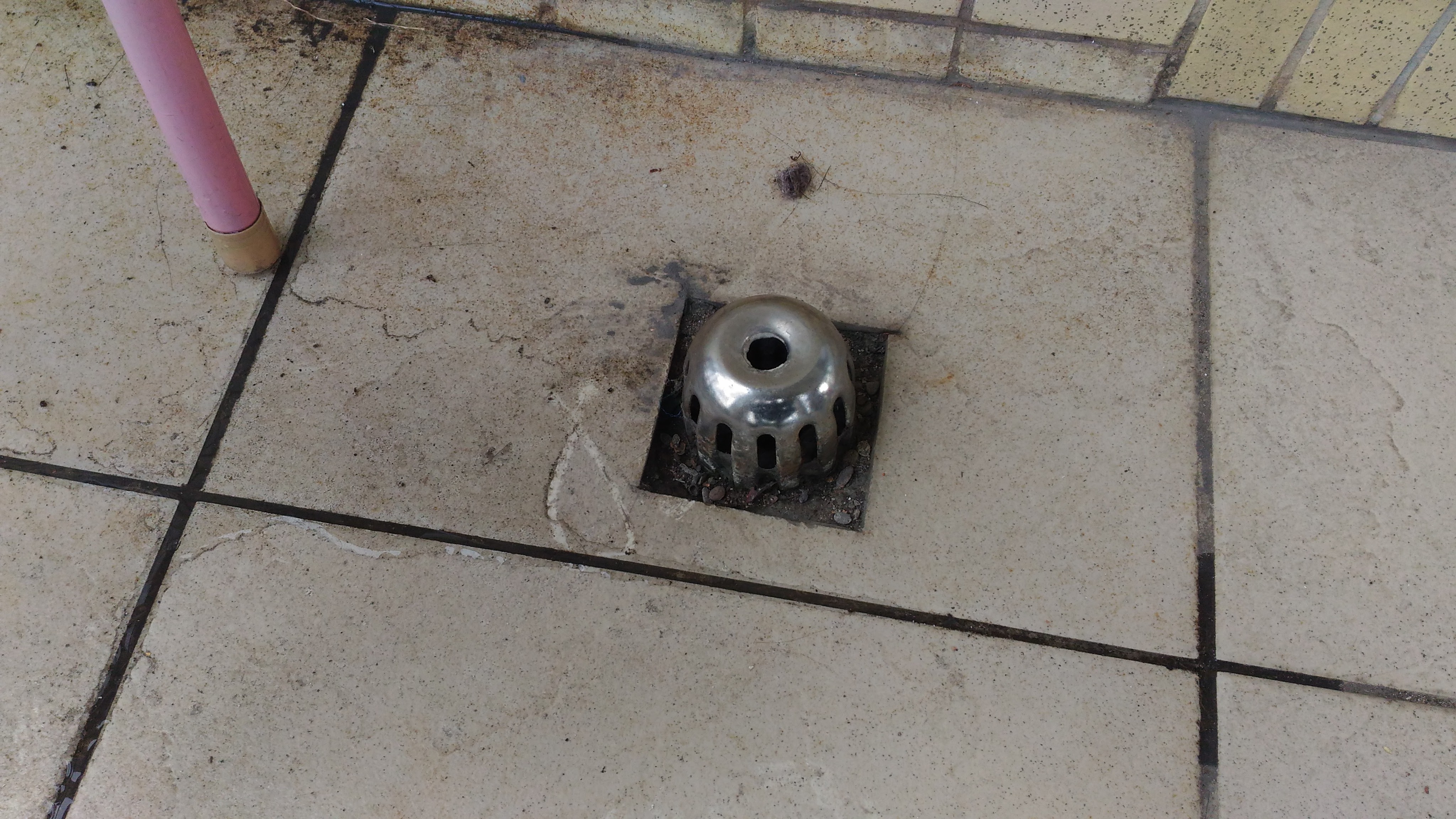 大順包通,彰化抽肥_12