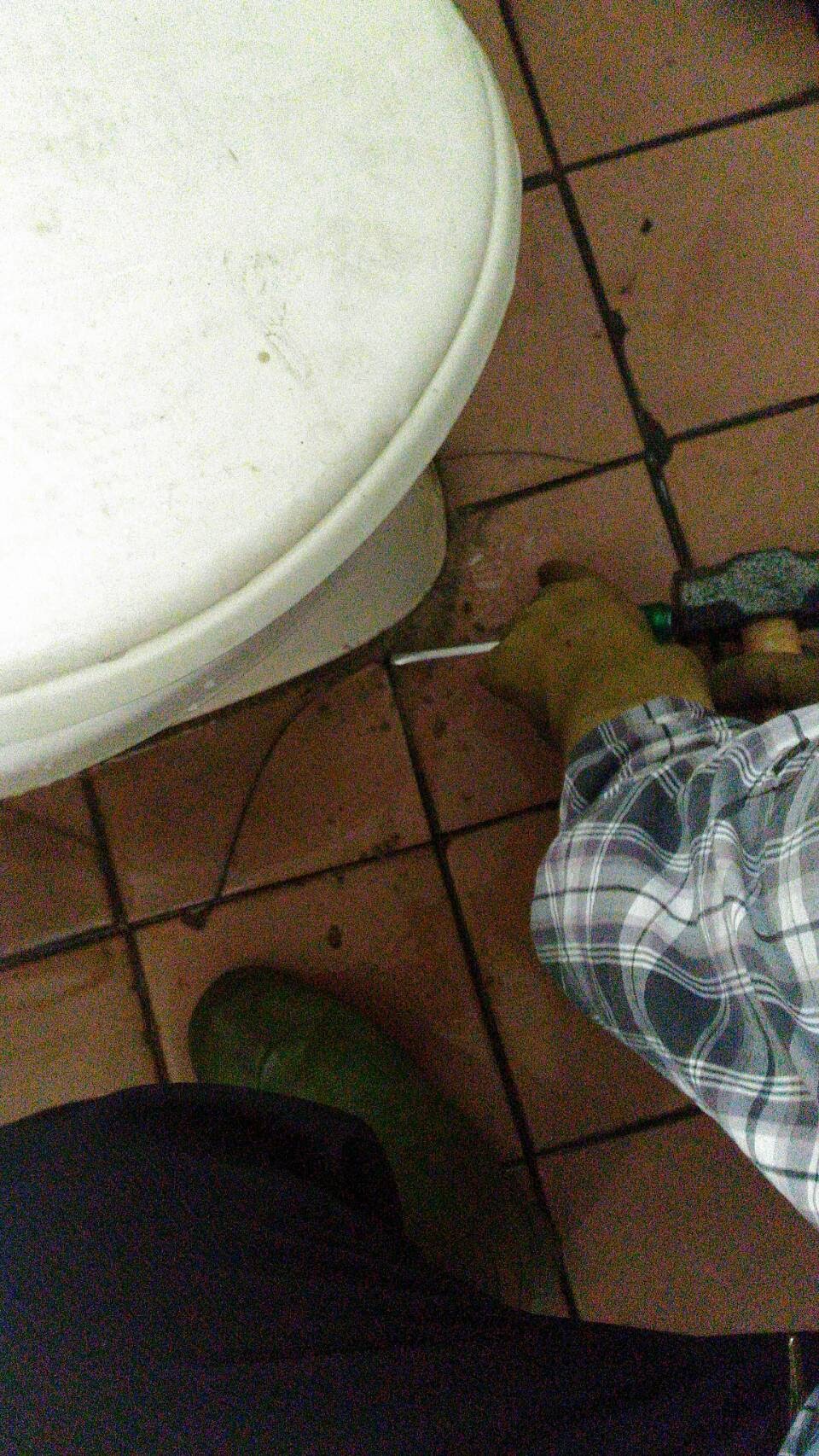 大順包通,彰化抽肥_19