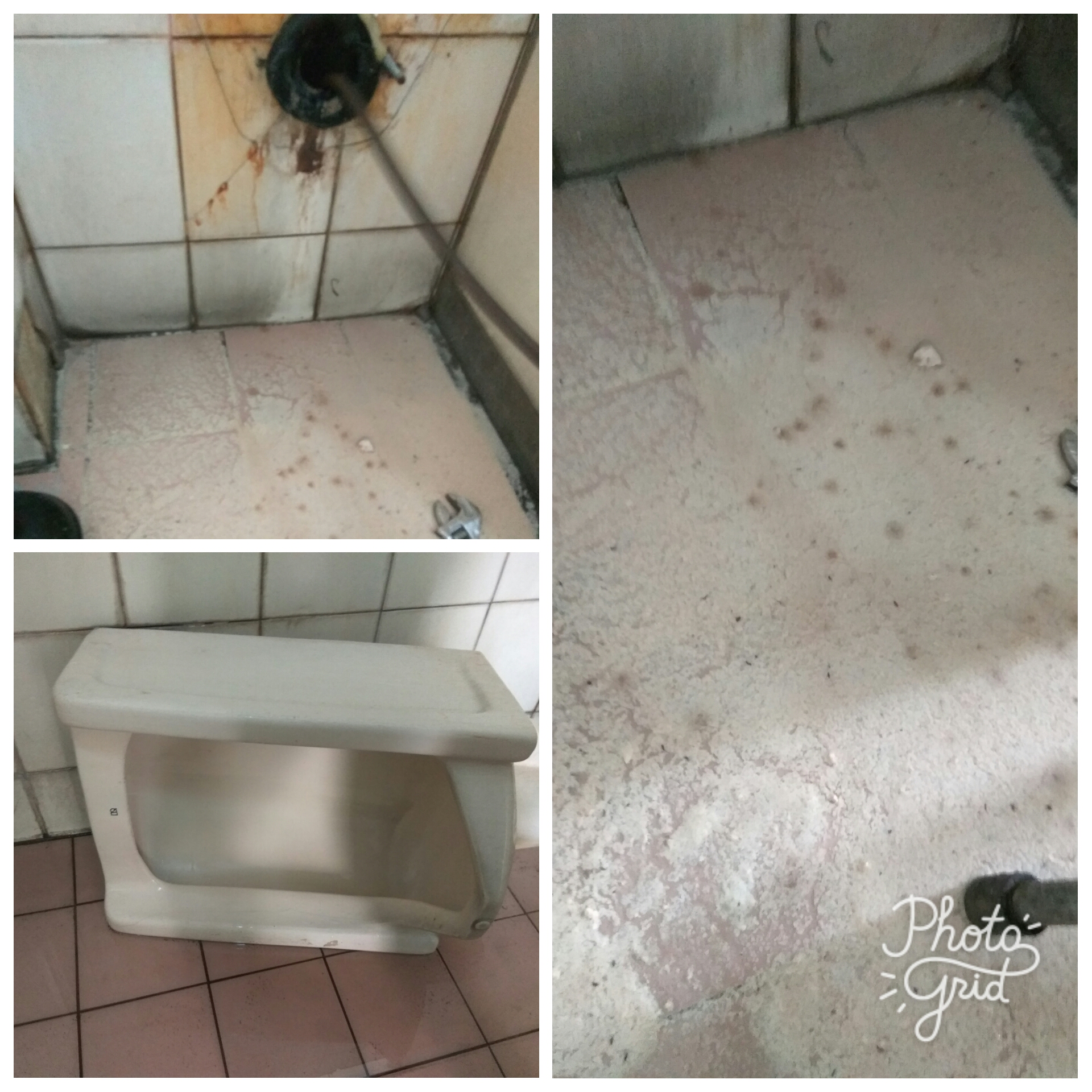 彰化抽肥,包通,通水管,伸港線西抽肥包通