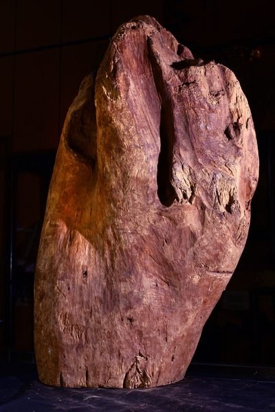 沉木【和義沉香】《編號ET01》印尼系伊利安沉木