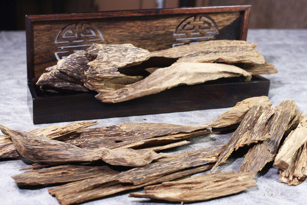 沉片【和義沉香】《編號K019》正老貨