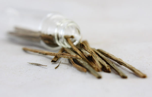 沉片【和義沉香】《編號K037》