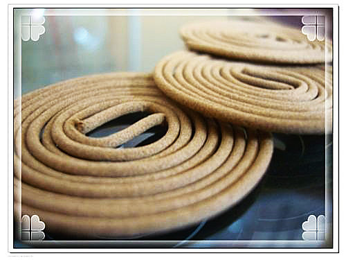 老山盤香【和義沉香】《編號D6》特級老山頭微盤香