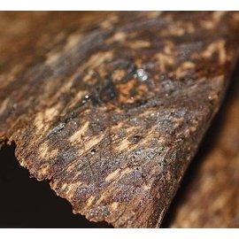 極品沉片【和義沉香】《編號K020》珍貴沉片