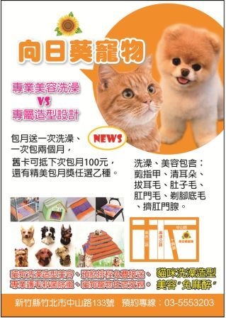 向日葵寵物-undefined