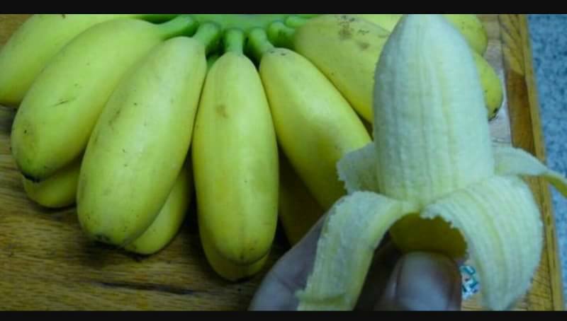 蛋蕉(馬來西亞品系)