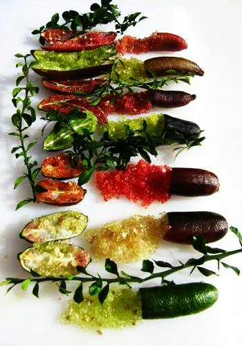 澳洲指檬(綠色)