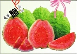 西瓜芭樂