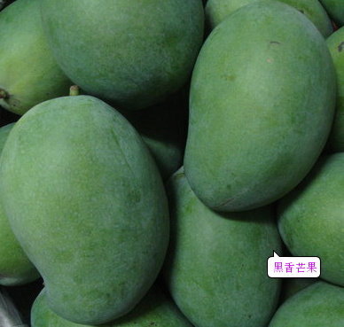 黑香芒果