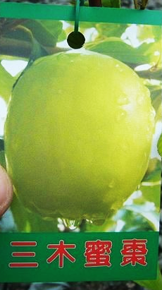 三木蜜棗