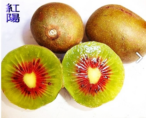 紅陽奇異果1公+6母