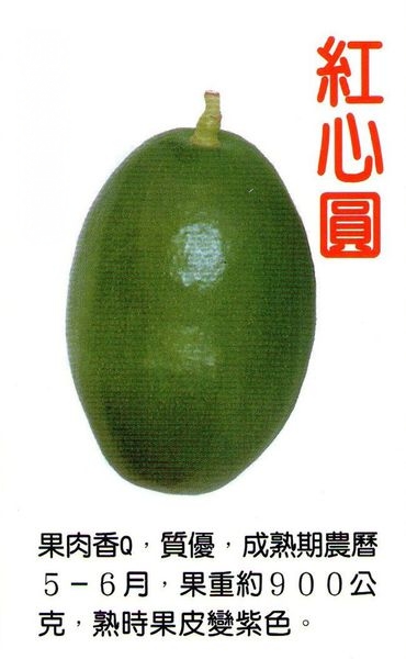 紅心圓酪梨