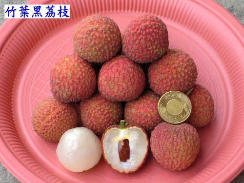竹葉黑荔枝