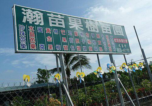 斑葉痛風芭樂、無刺香橙、扁實檸檬