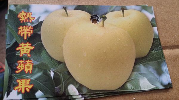 熱帶黃蘋果