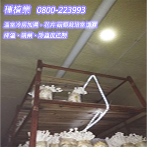 種植業：溫室冷房加濕，花卉‧菇類栽培室調濕、降溫、噴藥、除蟲度控制