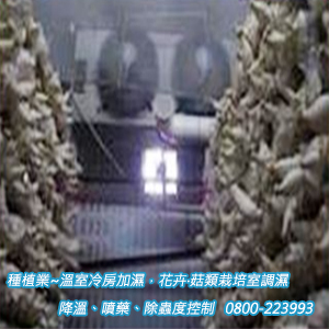 種植業：溫室冷房加濕，花卉‧菇類栽培室調濕、降溫、噴藥、除蟲度控制