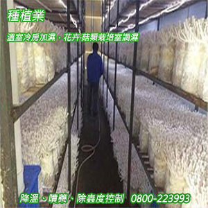 種植業：溫室冷房加濕，花卉‧菇類栽培室調濕、降溫、噴藥、除蟲度控制